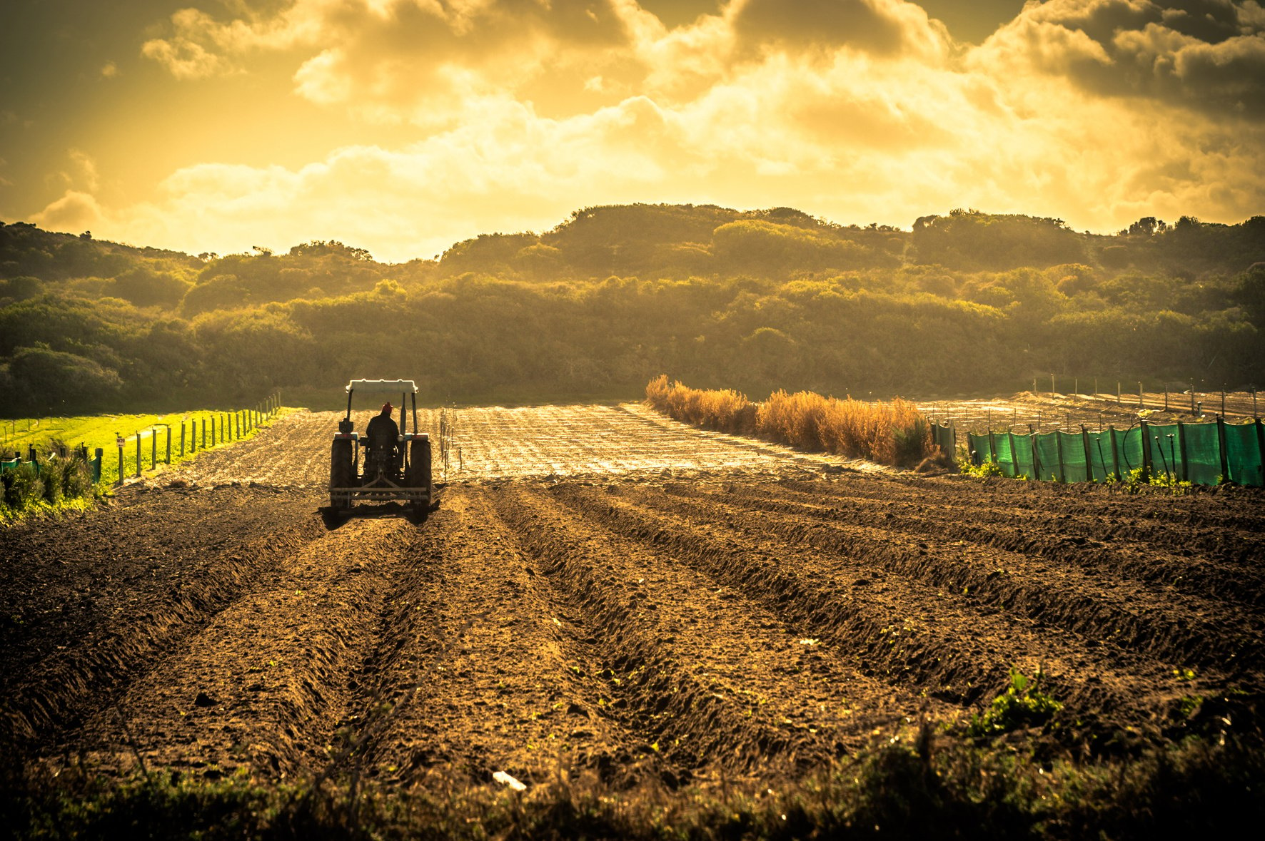 Agriculture