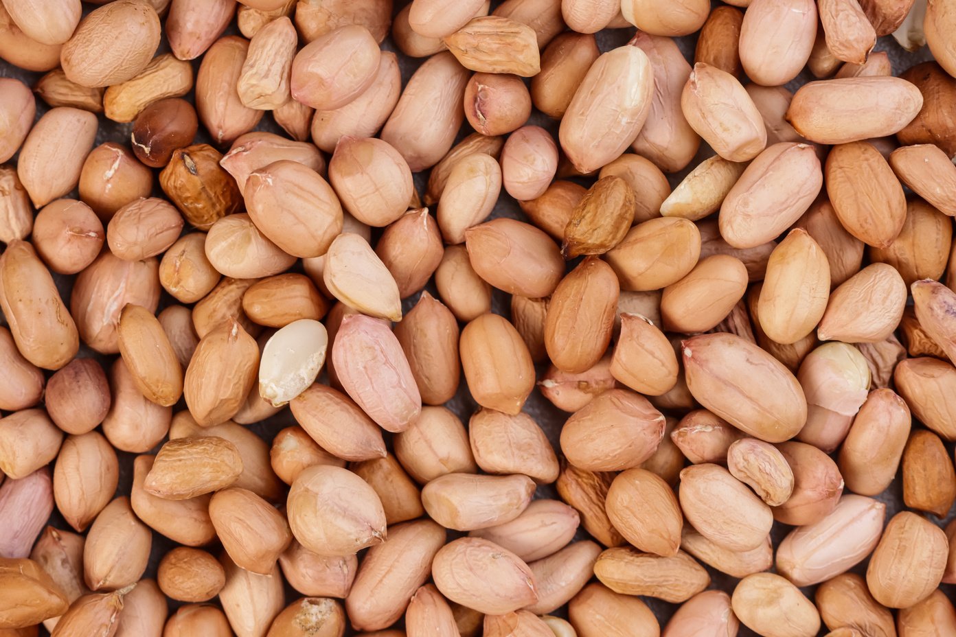 Kacang Tanah Kering or Peanuts Seeds