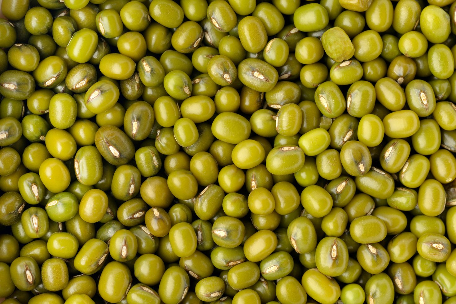 Whole Green Moong Bean Shot in Studio